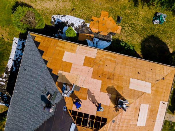 Best Roof Maintenance Services  in San Augustine, TX