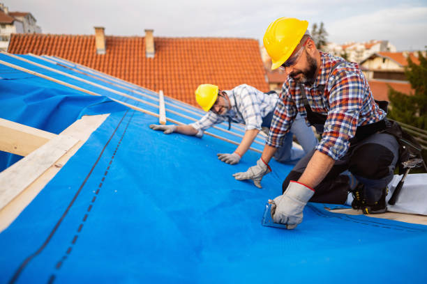 Quick and Trustworthy Emergency Roof Repair Services in San Augustine, TX