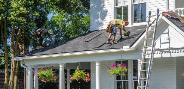 Best Metal Roofing Contractor  in San Augustine, TX